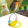 Bird Perch Station: Sturdy Wooden Chew Stand view 4