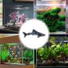 Floating Aquarium Shark Ornament view 3