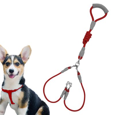 Dog Leash for Medium Dogs | Double Braided Nylon Leash | 1.5 M Sturdy Dog Leash with Comfortable Grip