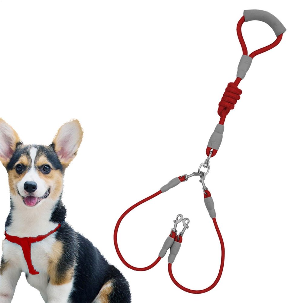 Dog Leash for Medium Dogs | Double Braided Nylon Leash | 1.5 M Sturdy Dog Leash with Comfortable Grip
