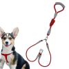Dog Leash for Medium Dogs | Double Braided Nylon Leash | 1.5 M Sturdy Dog Leash with Comfortable Grip view 1