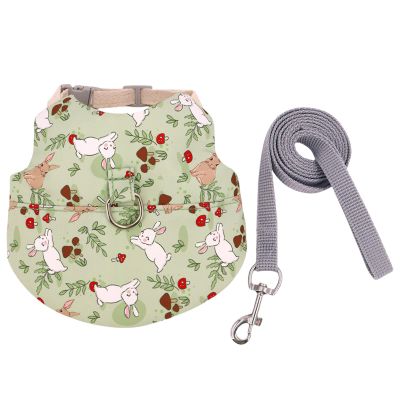 Small Pet Harness and Leash Set for Rabbits, Guinea Pigs and Hamsters
