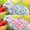 Small Pet Harness and Leash Set for Rabbits, Guinea Pigs and Hamsters view 3