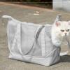 Cat Carrier with Nylon Mesh Shoulder Strap and Storage view 2