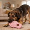 Durable Dog Chew Toy Set view 3