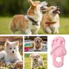 Durable Dog Chew Toy Set view 4