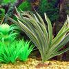 MUELODSIC Artificial Reptile Plant for Terrariums view 3