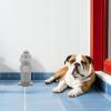 Plastic Dog Toilet Urine Posts, 3-Piece Set view 4