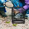 iplusmile Portable Red Ebony Cricket Cage, Handmade Grasshopper Cage with Bamboo Storage Basket for Insect Observation and Nature Study view 3