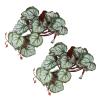 CHICIRIS 2 Pack Artificial Water Plants view 1