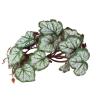 CHICIRIS 2 Pack Artificial Water Plants view 2