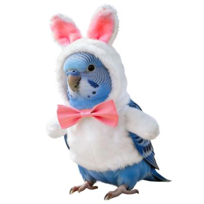 Bird Outfit - Decorative Feather Clothing