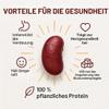 GiDeli Dried Kidney Beans, 5 kg Bucket view 3