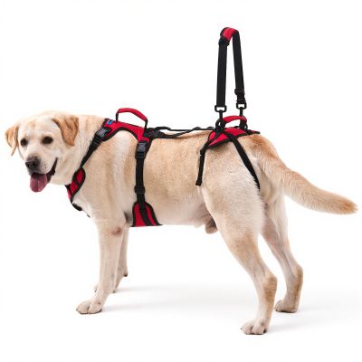 Lafoty Dog Lift Harness for Very Large Dogs, Red, XL