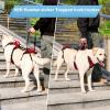 Lafoty Dog Lift Harness for Very Large Dogs, Red, XL view 4