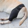 Dog Rear Leg Support Brace view 2