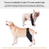 Dog Rear Leg Support Brace view 3