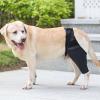 Dog Rear Leg Support Brace view 4