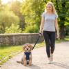 Adjustable Dog Harness for Small to Medium Pets view 2
