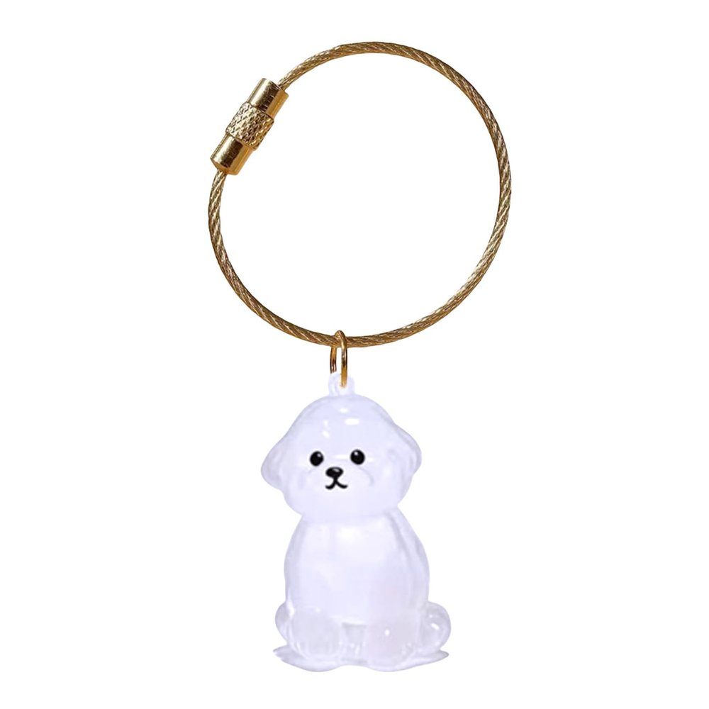 TQUXNGA Clear Pet Hair Memorial Keychain Display Case