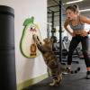 Avocado-Shaped Self-Adhesive Cat Scratching Board view 3