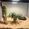Artificial Realistic Green Plants for Reptile Terrariums view 2