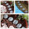 TOGEVAL 5-Piece Resin Pebble Decor for Aquariums and Flower Pots view 4