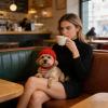 Dog Knit Beanie, Warm Soft Dog Hat view 3