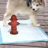 Functional Dog Toilet as Fire Hydrant Training Aid view 2