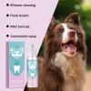 Generic 2026 Pet Dental Spray for Oral Hygiene and Stain Removal in Dogs and Cats (4 x 15) view 3
