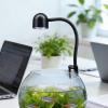 Aquarium Lamp, 360° Rotating Mood Light view 4