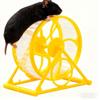 Hamster Running Wheel for Pet Entertainment and Decoration view 1