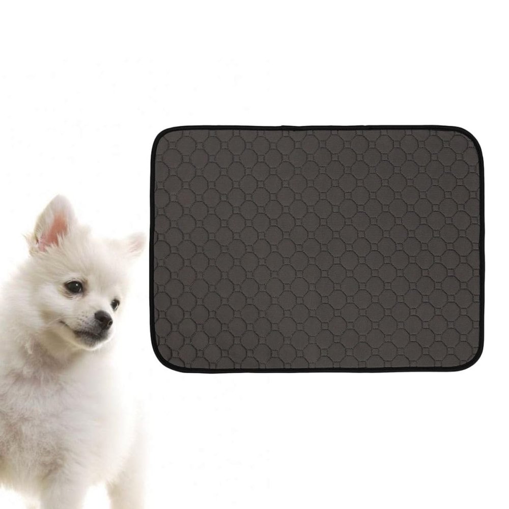 Black Washable Dog Urine Mat, Highly Absorbent, 1 Pc.