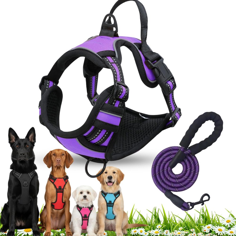 No-Pull Dog Harness with Front Clip, Reflective Vest and Lead Set, Purple, M