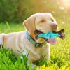 2026 Durable Dog Chew Toy with Fragment-Free Design, Green, 16 cm view 3