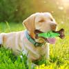 2026 Durable Dog Chew Toy with Fragment-Free Design, Green, 16 cm view 4