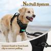 No-Pull Front-Clip Dog Harness, Adjustable Reflective Vest with Lead, Blue, S view 2