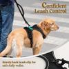 No-Pull Front-Clip Dog Harness, Adjustable Reflective Vest with Lead, Blue, S view 3