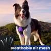 No-Pull Front-Clip Dog Harness, Adjustable Reflective Vest with Lead, Blue, S view 4