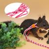 CHICIRIS Ferret Harness, Adjustable Nylon Harness with Bell and Long Leash for Small Pets, Pink + Rose Red view 3