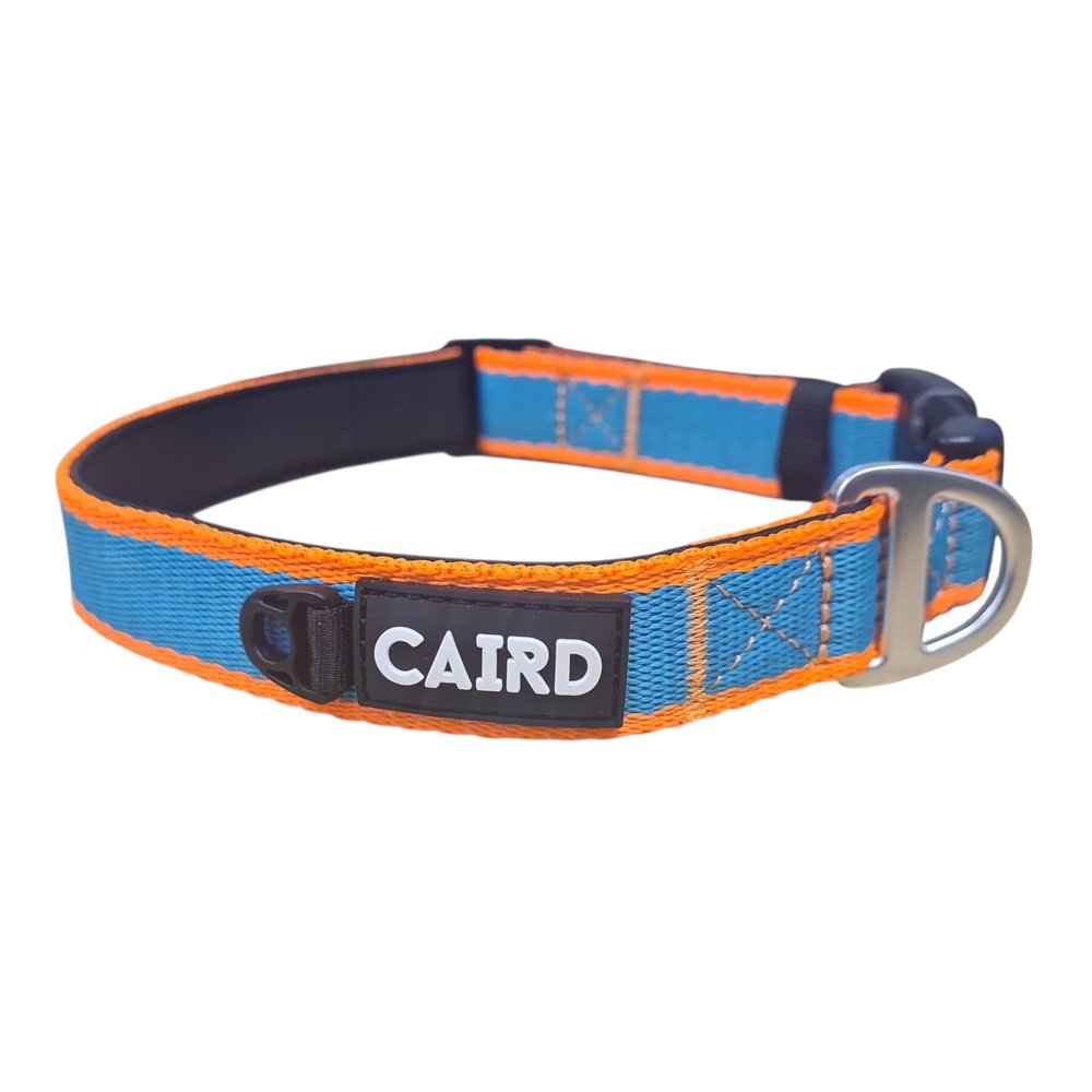 CAIRD Journey Light Adjustable Dog Collar, Padded Neoprene, Durable Nylon, Lightweight Aluminum D-Ring, Aqua & Orange (Large: 20–26)