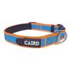 CAIRD Journey Light Adjustable Dog Collar, Padded Neoprene, Durable Nylon, Lightweight Aluminum D-Ring, Aqua & Orange (Large: 20–26) view 1
