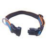 CAIRD Journey Light Adjustable Dog Collar, Padded Neoprene, Durable Nylon, Lightweight Aluminum D-Ring, Aqua & Orange (Large: 20–26) view 3