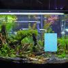 Totority 2-Pack Fish Breeding Plates with Suction Cups view 4