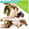 Aquasabi - Acorus gramineus 'Pusillus' - Dwarf Calamus - 5 cm Pot view 3