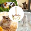 Bird Swing, Natural Material, 27.5 cm, Rotating view 4