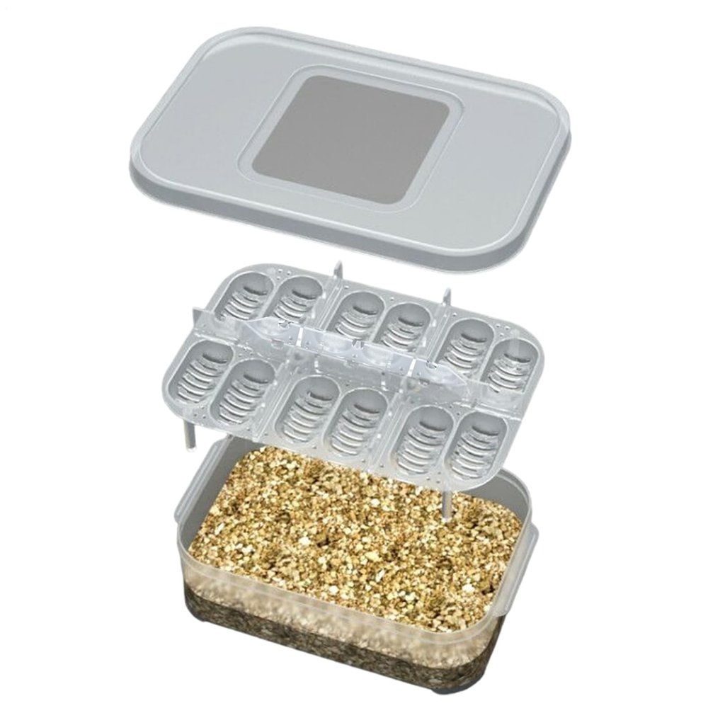 Generico Reptile Egg Incubator with 12-Grid Tray