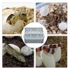Generico Reptile Egg Incubator with 12-Grid Tray view 4