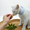 Pet Recovery Collar - Soft Washable Waterproof Cone view 4