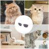 Dog/Cat Costume Glasses, Photo Props, Windproof view 2